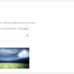 New image is added to the page or post editor